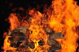 世界上最火的100首歌，世界最火的歌前十