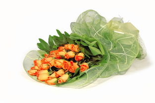 芋头啥品种好吃，什么芋头品种十大排名