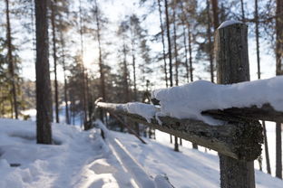 中国最厚的门，中国最厚的雪