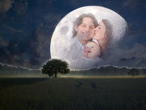 世界经典言情剧排名前十，十大言情经典小说