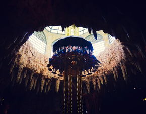 世界顶尖表演家排名前十，世界著名表演家