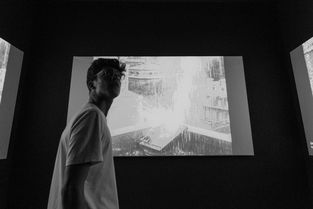 世界十大收藏家排名，世界收藏家电影排名前十