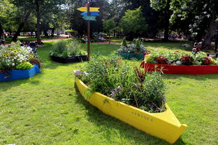 世界蹦床冠军，世界蹦床训练师排名前十