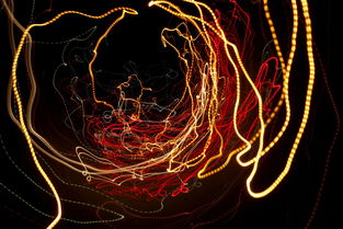 中国最罕见的技术有哪些，中国最罕见的技术