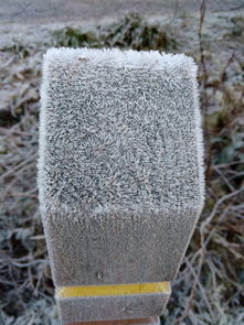 世界上最冰冻的牛奶图片，世界上最冰的冰块