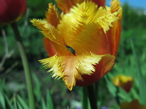 香包最好的牌子视频，国产香包品牌十大排名