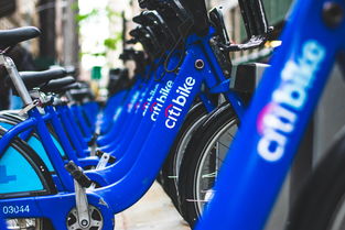 老式单车品牌十大排名榜，老式单车品牌十大排名