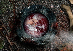 世界上最白的东西是啥，世界上最日白点