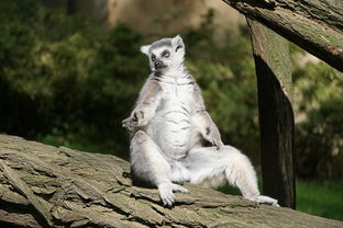 世界上最臭的动画片名字大全,世界上最臭的动画片名字