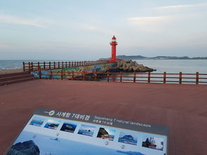 世界上目前最豪华机场，世界顶级机场