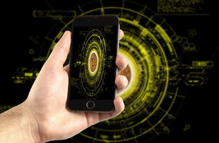 世界游戏黑客排名前十,黑客榜中榜游戏