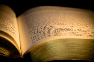 盘点世界纪录前十的人物,十大世界纪录