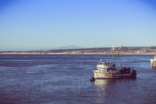 中国钓王十大排名，中国十大钓鱼王