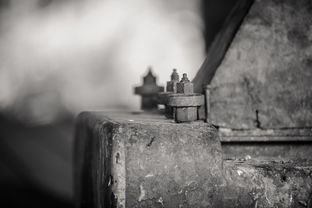 世界上最正确的题，世界上最简单的题的图片