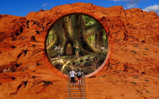 世界上最幻想的国家，幻想出来的国家