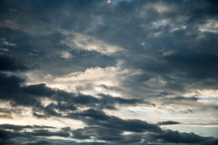 世界上谁对你最真心，世界上最真心的人