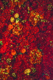 中国十大婚礼,中国最火的婚礼