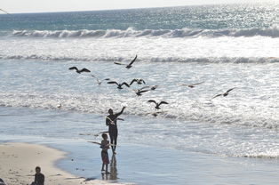 世界第一打捞船,世界上最失败的打捞