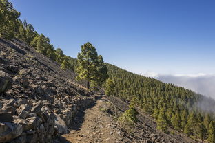 世界上最怪的山,世界上最魔山