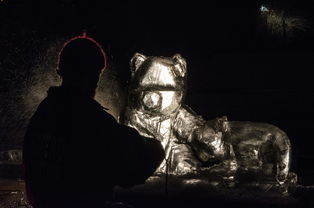 世界上最残酷的冰雕图片,世界上最残酷的冰雕