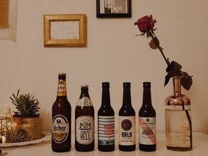 高炉家酒是哪里的,高炉家酒十大排名