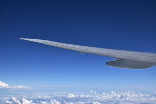 世界上最顶尖的水平，世界最高水平