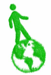 世界上什么椰子最奇怪,什么椰子最贵