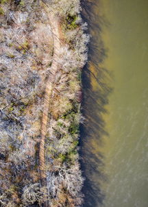 地球上最胖的人,世界上最胖的蚁后是谁