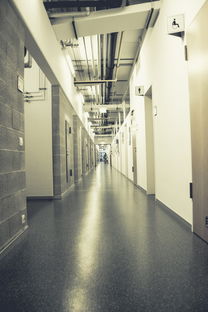 橡胶地板十大排名，最好的橡胶地板