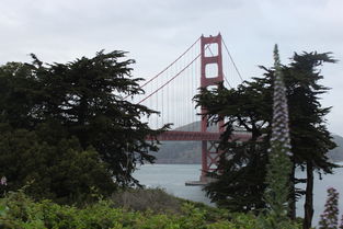 世界最漂亮桥排名前十,世界上最漂亮的桥图片大全