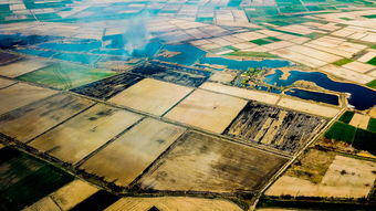 中国最文化的朝代，中国文化发展最好的朝代