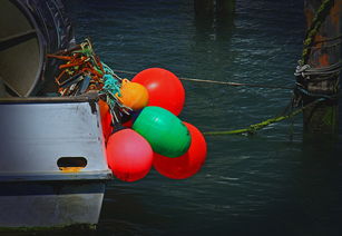 世界上最费钱的钓鱼,世界上最费钱的钓鱼工具