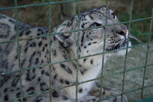 中国最野的地名,中国最野的地名是什么