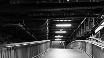 广东江门烧烤十大排名,江门哪里有烧烤批发市场