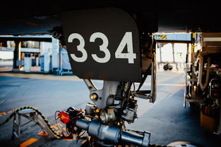 中国最神秘的军舰，中国最神秘的部队61195