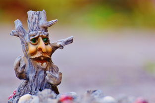 中国最奇怪的神,中国最奇怪的神仙