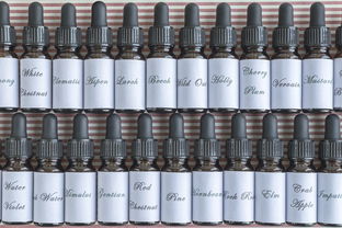 广州涂料公司排名，广州水漆品牌十大排名