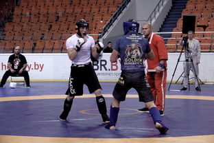 世界杯球队最新排名,世界杯球场人气排名前十