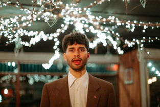 世界上最男版歌手，世界上最男版歌手排名