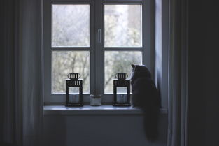 德鲁特门窗十大排名,德鲁特断桥铝窗多少钱一平方