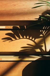 韩剧世界末日排名前十，韩国世界末日题材电影