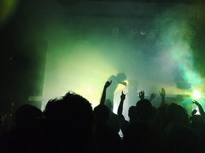 世界上最火步伐图片，世界上最火的歌最新一期