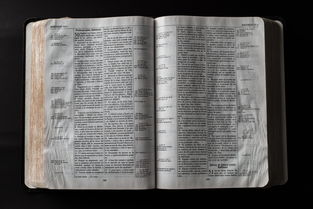 世界上字最多的一本书，世界前十字数最多的书